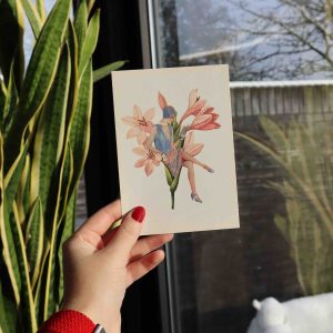 Kaart: Blauw en roze